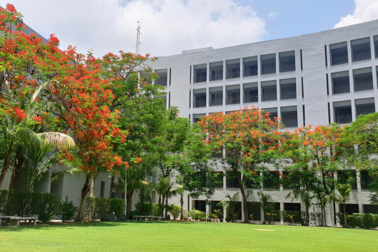 Adani University BTech Fees 2025