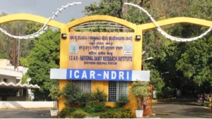 BTech Dairy Technology 2026: NDRI, SMC College, Scope in Amul & Mother Dairy