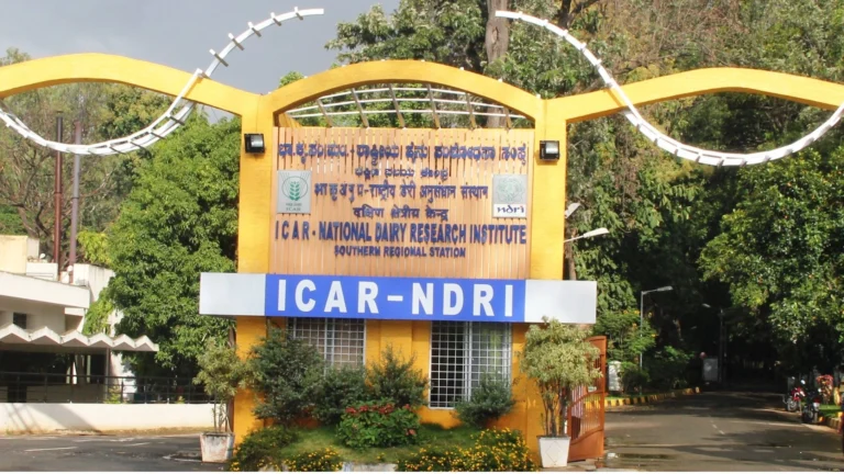 BTech Dairy Technology