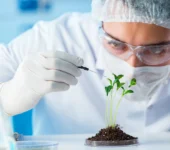 Biotechnology Courses After 12th