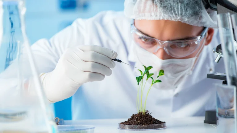 Biotechnology Courses After 12th