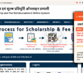 UP Scholarship for BSc