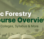 BSc Forestry Overview