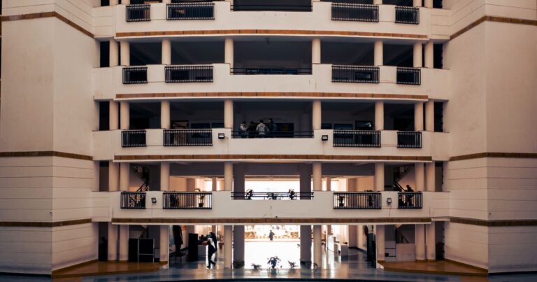Bachelor of Management Studies (BMS) Full Form & Guide 2026