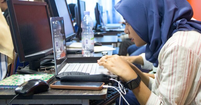 Bachelor in Animation & Multimedia (Distance/Online) India 2026