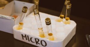 Bachelor in Medical Microbiology (B.Sc.) India 2026: Overview
