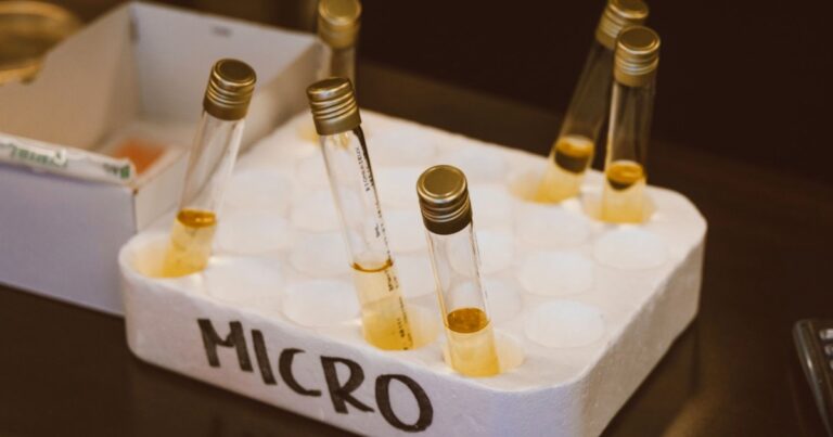 Bachelor in Medical Microbiology (B.Sc.) India 2026: Overview