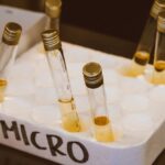 Bachelor in Medical Microbiology Distance Learning India 2026