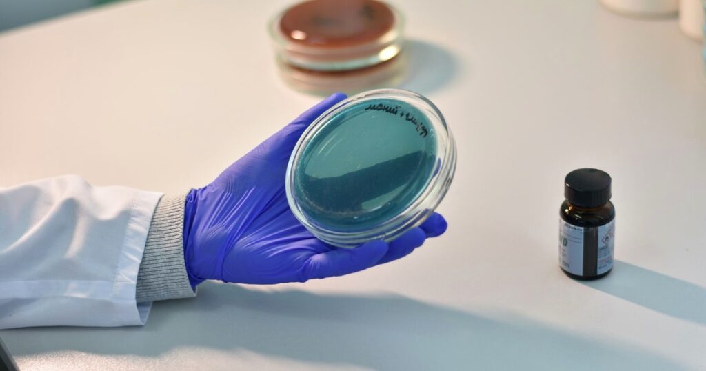 Bachelor in Medical Microbiology Eligibility 2026 – India