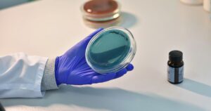 Bachelor in Medical Microbiology Eligibility 2026 - India