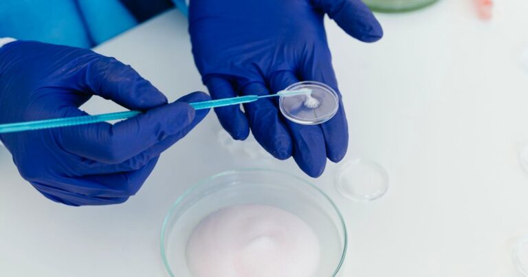 Bachelor in Medical Microbiology (B.Sc. M.M.) Full Form & Guide