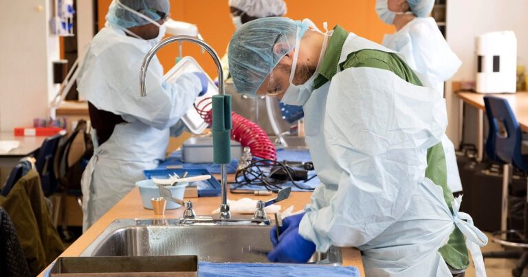Bachelor in Medical Microbiology Scholarships India 2026