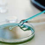 Bachelor in Medical Microbiology Syllabus 2026 - India