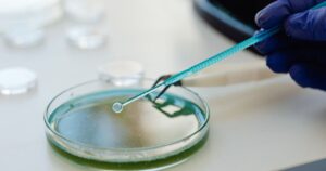 Bachelor in Medical Microbiology Syllabus 2026 - India