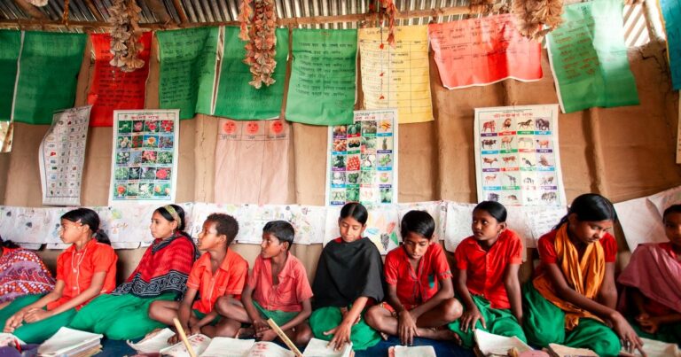 Bachelor in Rural Studies (BRS) India 2026: Overview