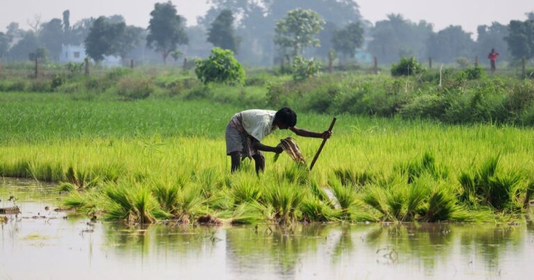 B.Sc (Agriculture) Distance/Online in India 2026: Guide