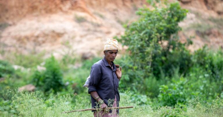 B.Sc in Anthropology Salary in India 2026: A Comprehensive Guide