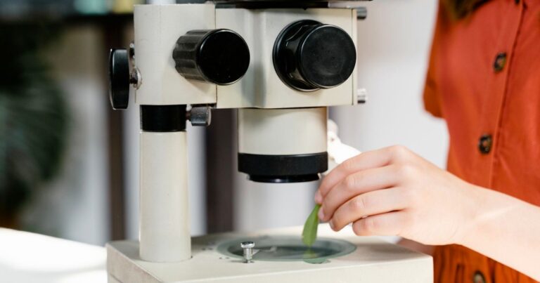 B.Sc Botany Scholarships India 2026 | Science Stream