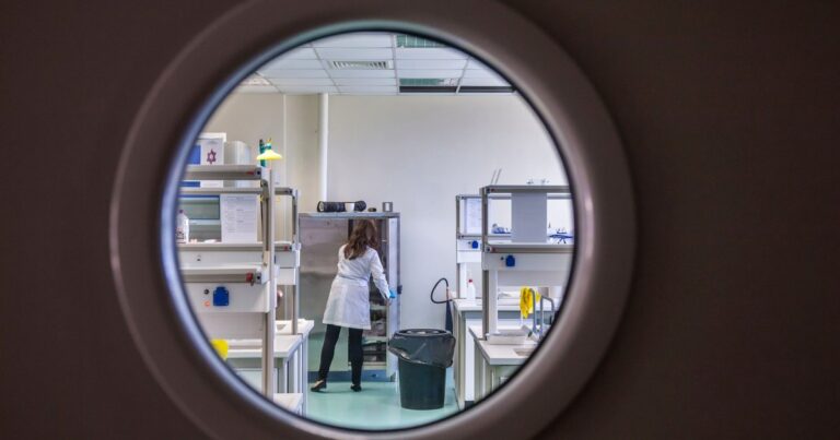 B.Sc Food Tech vs Nutrition vs Biotech (2026): Which is Better?