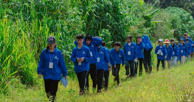 B.Sc in Forestry (India 2026) – Course Overview & Guide