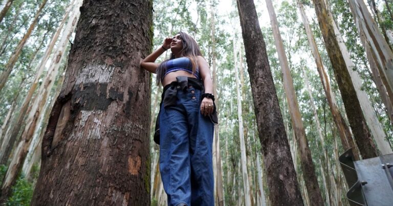 B.Sc in Forestry Duration (India 2026) – College Info Site