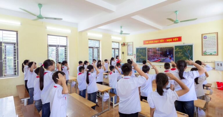 B.Sc HHA vs BBA vs BA Tourism (2026): Which is Better?