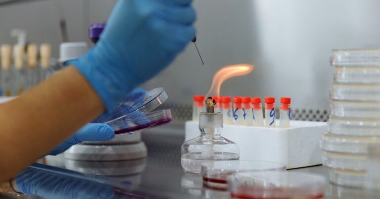 B.Sc Microbiology Distance Education India 2026