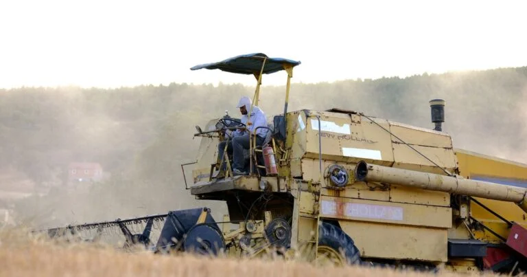 B.Tech Agricultural Engineering Distance/Online in India 2026