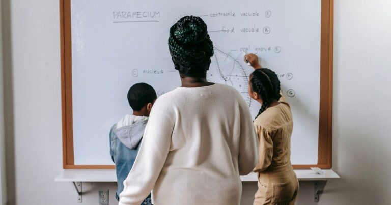 Diploma in Education (D.Ed) Entrance Exams India 2026