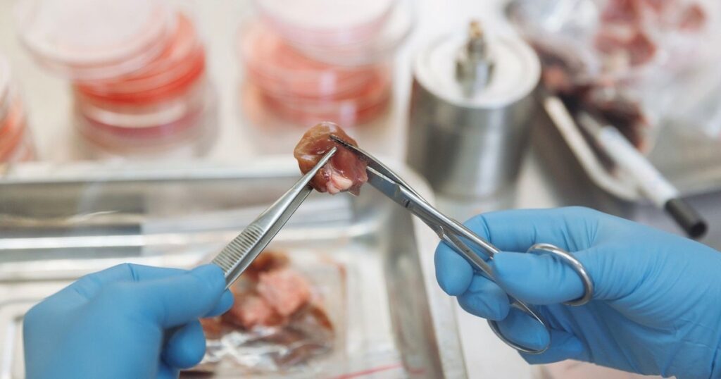 MD Pathology vs MD Microbiology vs MD Biochemistry (2026)