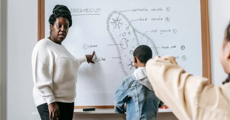 M.Ed in Science Entrance Exams 2026: Your Guide