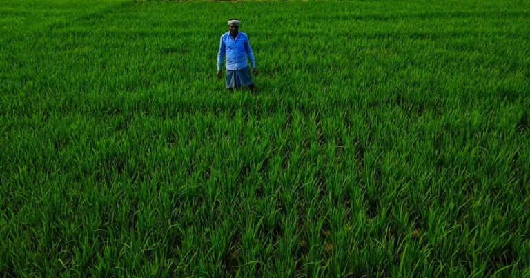M.Sc in Agriculture Distance/Online in India 2026