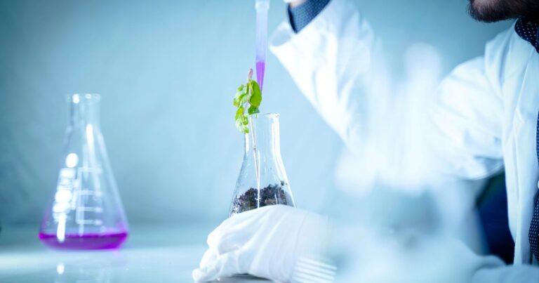 M.Sc in Agriculture Full Form & Course Guide (India 2026)