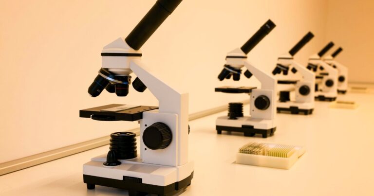 M.Sc. Botany Eligibility 2026 – India | Science Stream