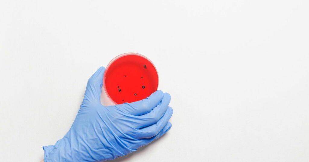 M.Sc in Clinical Embryology India 2026: Course Overview