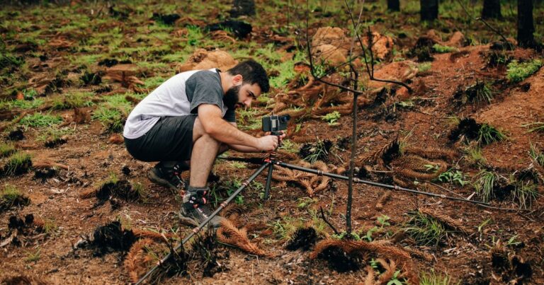 M.Sc in Environmental Science Distance/Online India 2026