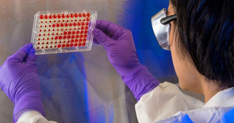 M.Sc Medical Lab Technology Distance/Online 2026: Guide