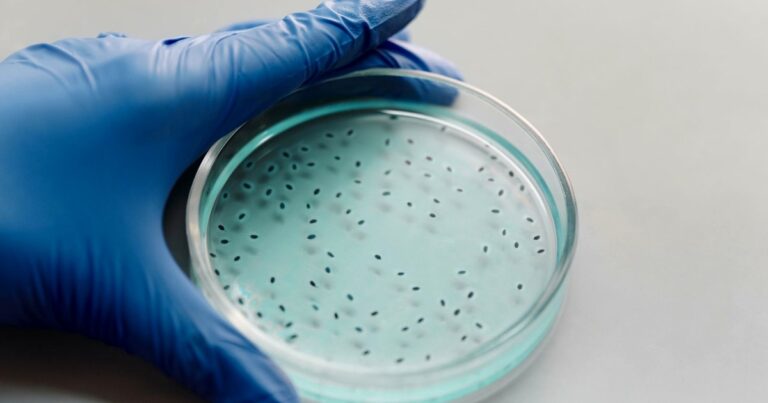Ph.D in Microbiology Scholarships India 2026: Your Guide