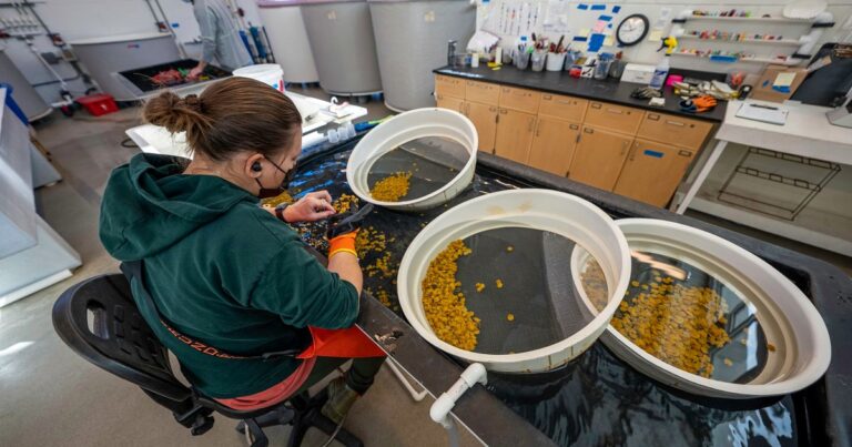 Ph.D in Zoology Eligibility 2026: Your Comprehensive Guide