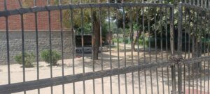 University of Delhi, Delhi