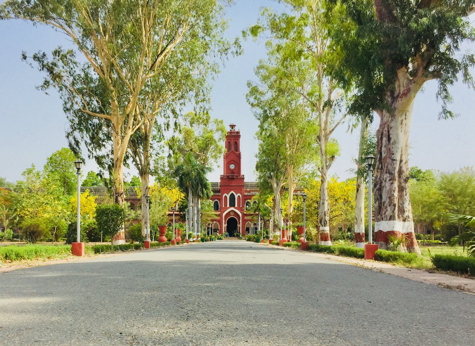 Aligarh Muslim University, Aligarh