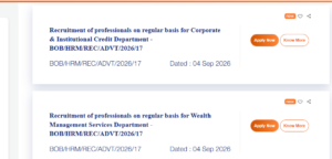 Official Job Listings at BOB Careers Portal
