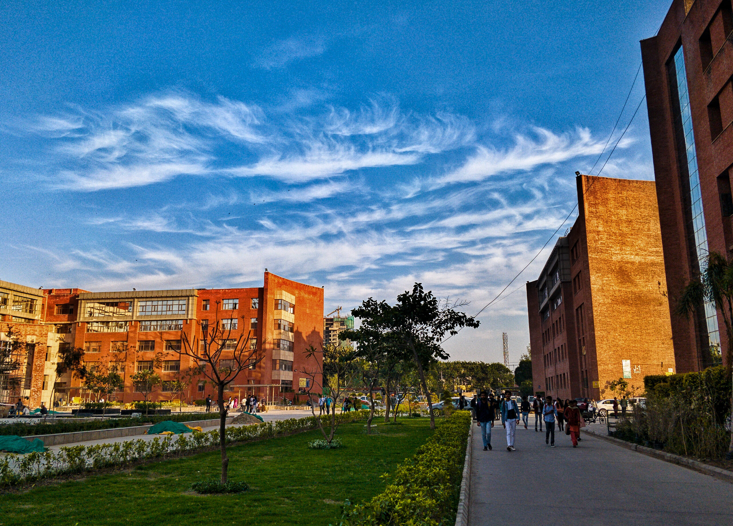 Amity University Noida campus building