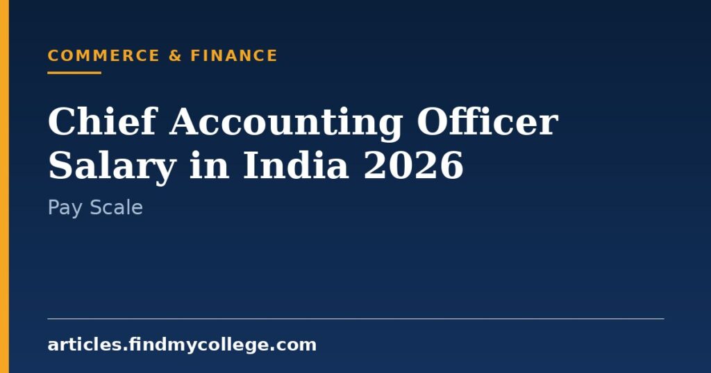 Chief Accounting Officer Salary in India 2026: Pay and Bonus